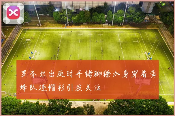 罗齐尔出庭时手铐脚镣加身穿着黄蜂队连帽衫引发关注