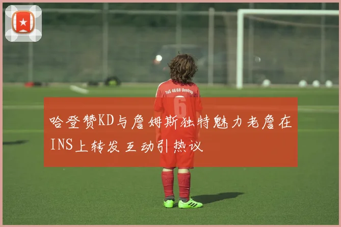 哈登赞KD与詹姆斯独特魅力老詹在INS上转发互动引热议
