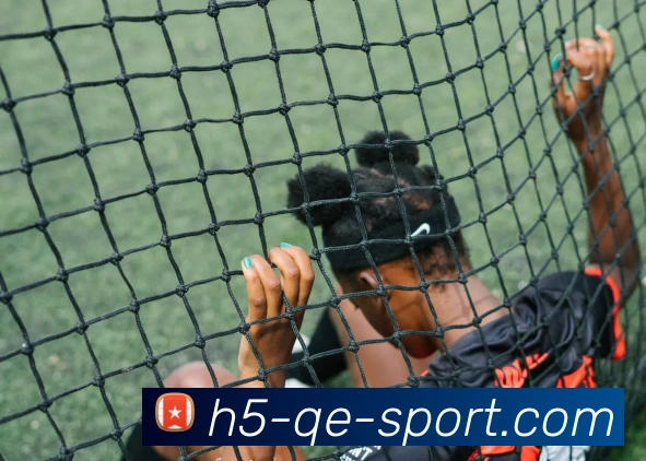 多媒体互动体验